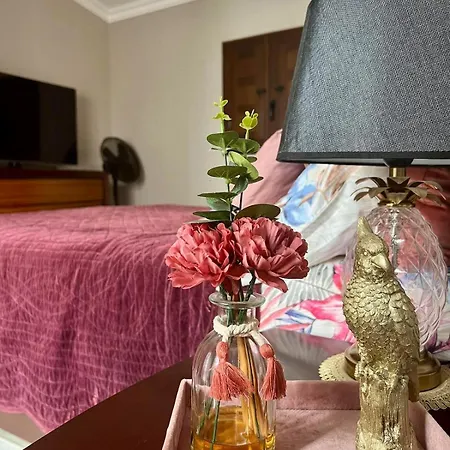 Solo Дом отдыха *